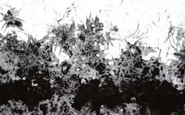 貧鉻導致的晶間腐蝕 貧鉻導致的晶間腐蝕